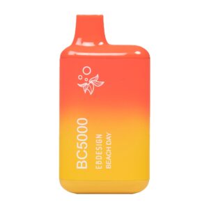 ELF BAR BC5000 Disposable 5000 Puffs Beach Day 13ml